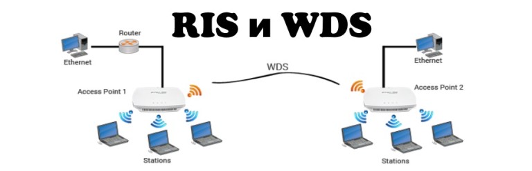ris wds